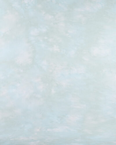 Backdrop-CB-HDP-007 (1)